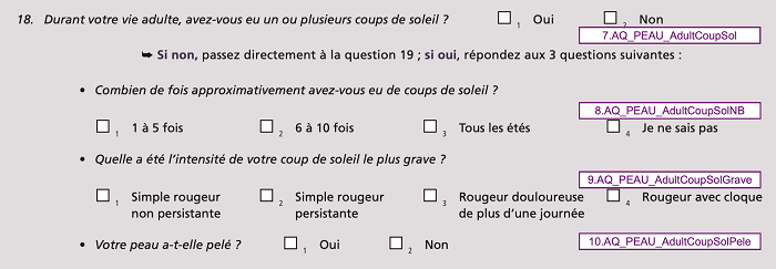 S- Question AdultCoupSol_Peau